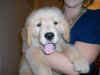 Cooper happy.jpg (63659 bytes)
