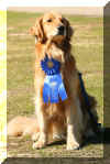 Daisy first place.jpg (834608 bytes)