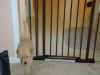 Luca Can't Gate Me In.JPG (48193 bytes)
