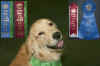Sam RN ribbons.jpg (673317 bytes)
